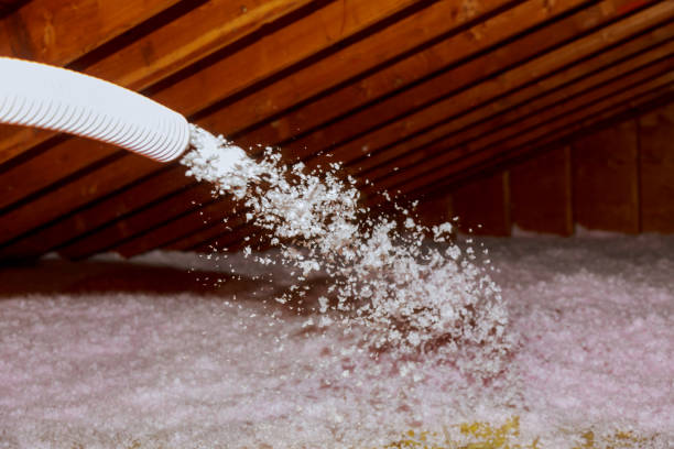 Best Attic Insulation Installation  in South Browning, MT