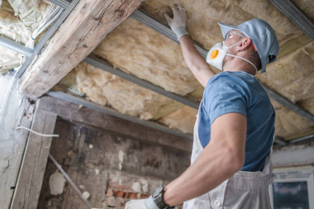 Best Spray Foam Insulation  in South Browning, MT
