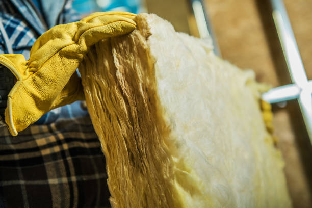 Best Insulation Removal  in South Browning, MT