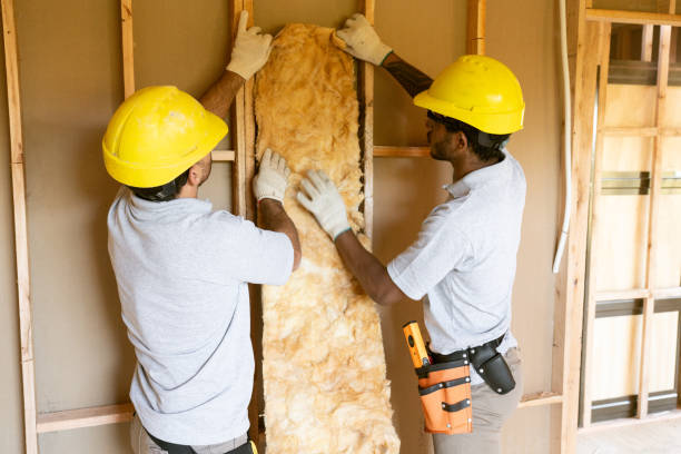 Best Garage Insulation Installation  in South Browning, MT